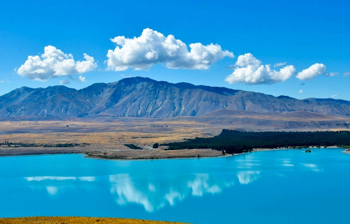 紐西蘭 海關 申報
