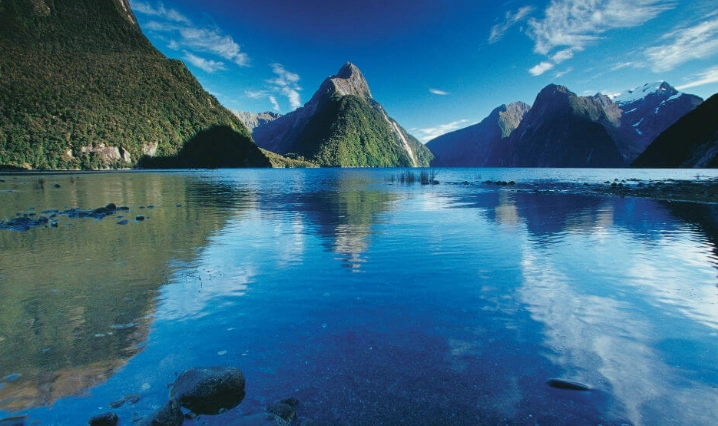 紐西蘭旅遊申報