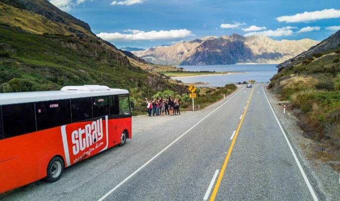 紐西蘭巴士現金付款