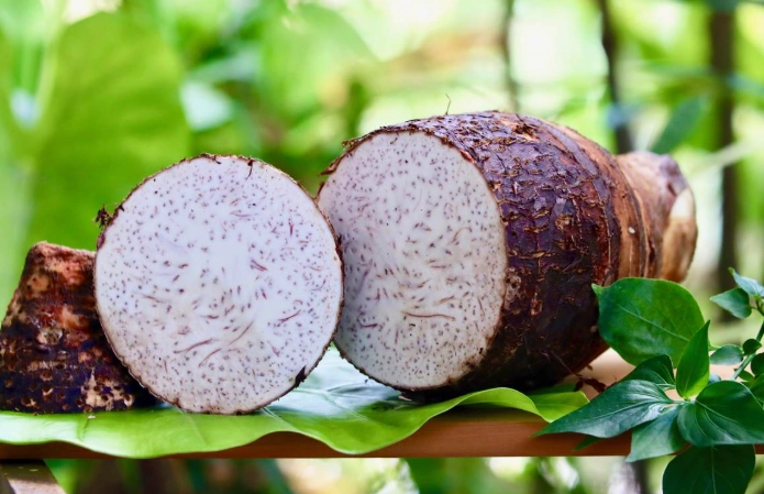 腎臟病飲食芋頭