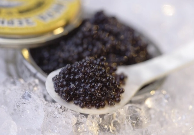 魚子醬價格原因