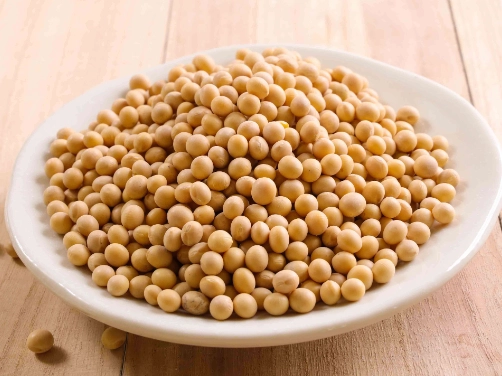 黃豆 大豆 差異