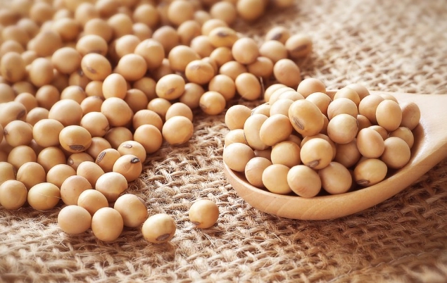 大豆 黃豆 区别