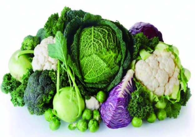 十字花科 營養