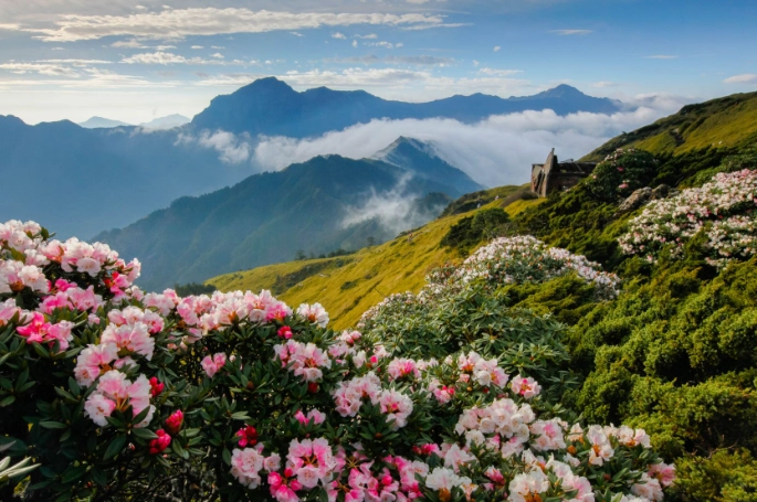 花蓮台東三天兩夜