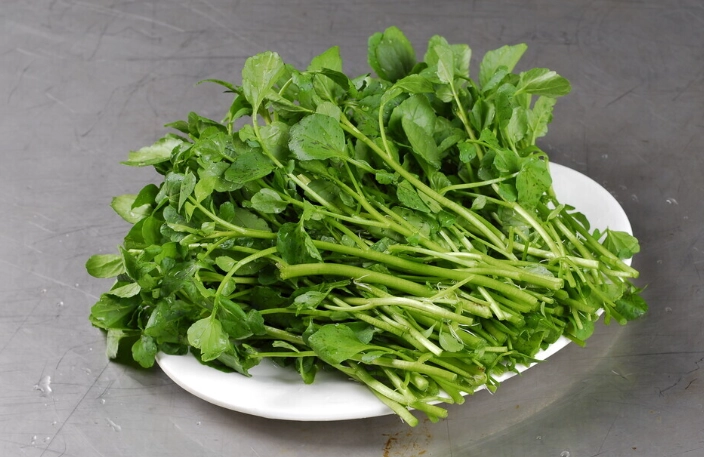 西洋菜健康風險