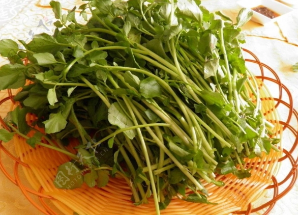 西洋菜健康風險