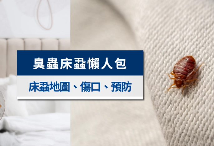 除床蝨方法