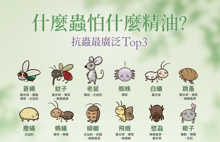 床蝨怕的精油